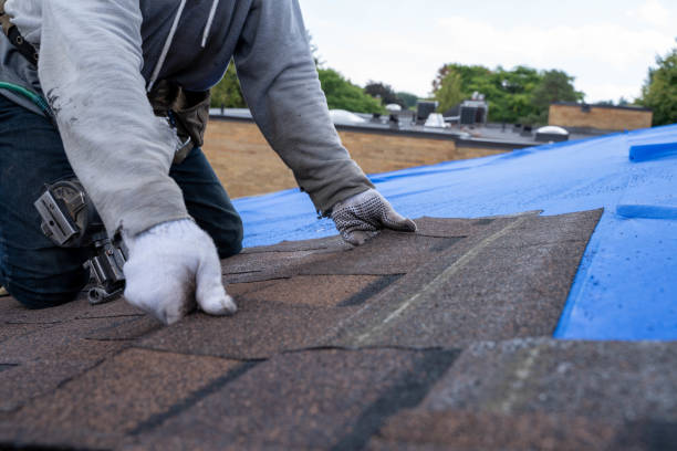 Best Storm Damage Roof Repair  in Chlicothe, IL