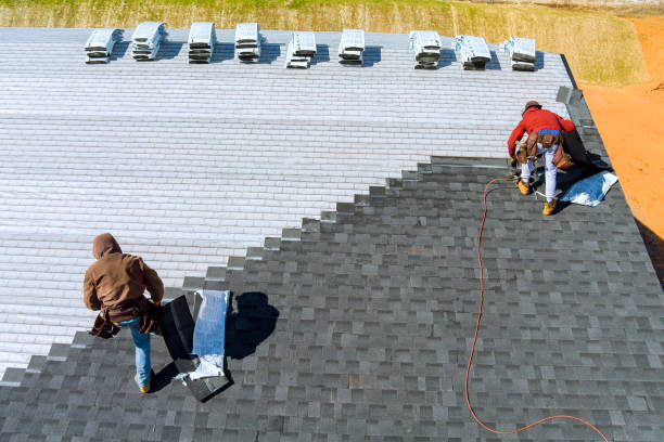Best Roof Waterproofing Services  in Chlicothe, IL
