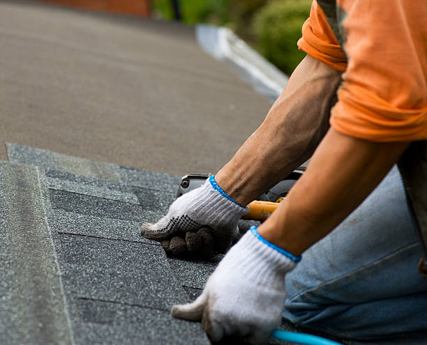 Best Shingle Roofing Installation  in Chlicothe, IL