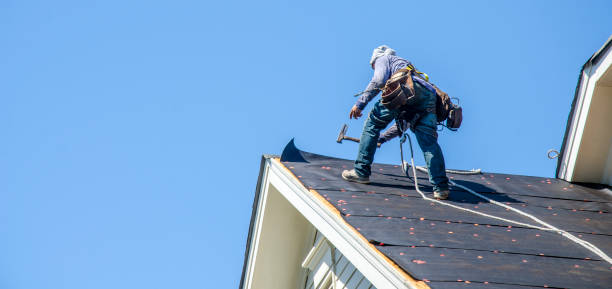 Professional Roofing Contractor in Chillicothe, IL